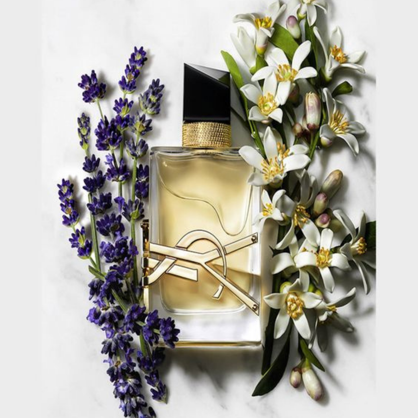 LIBRE by Yves Saint Laurent