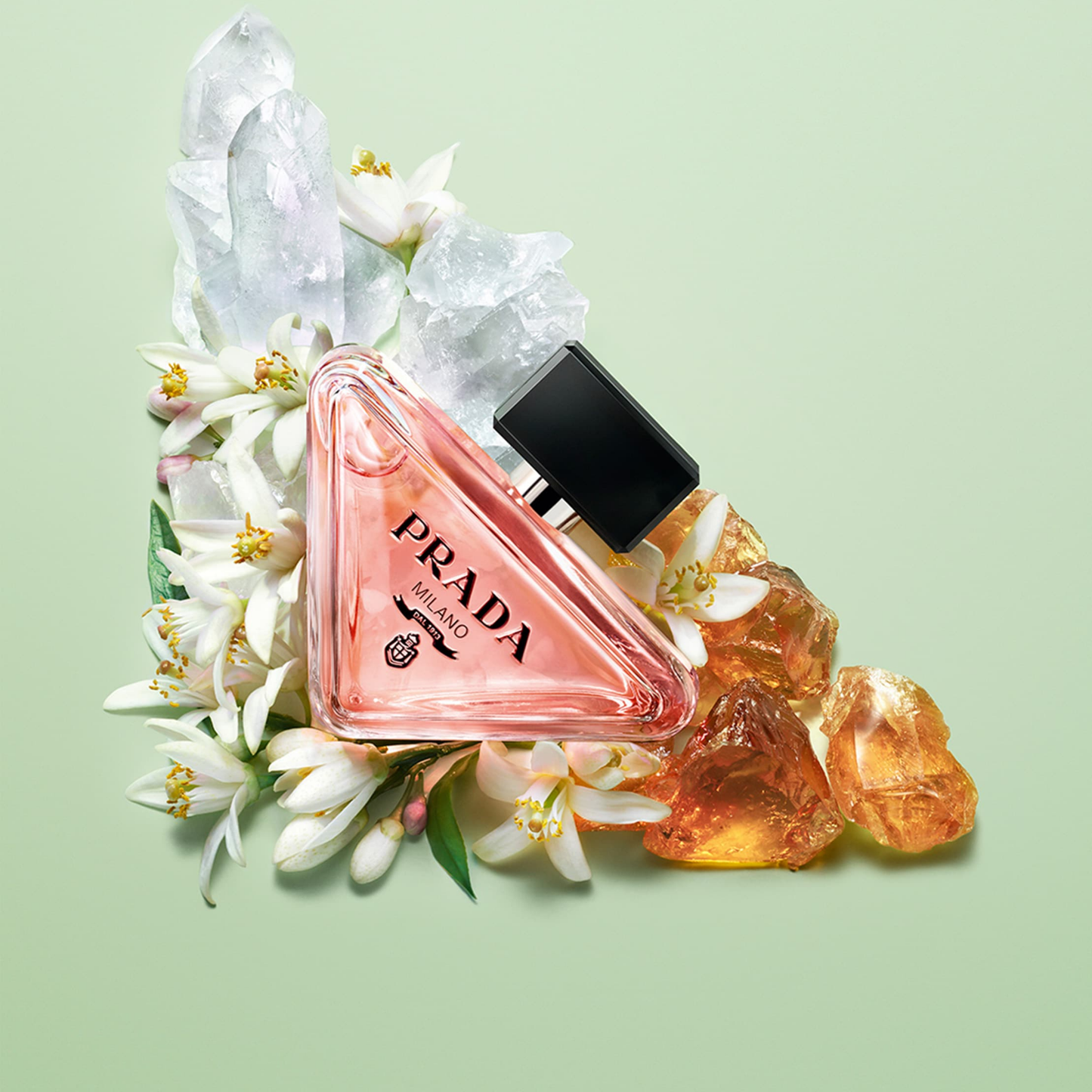 PARADOXE by Prada