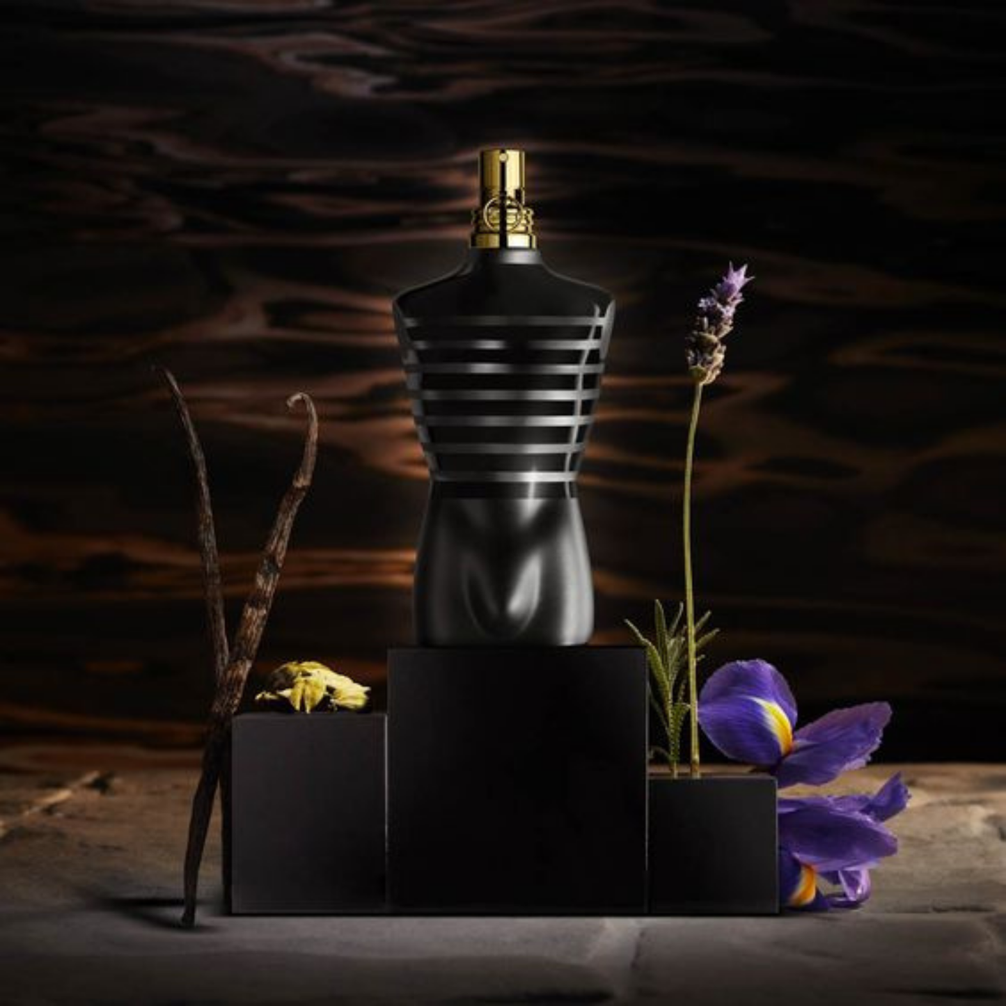 LE MALE by Jean Paul Gaultier
